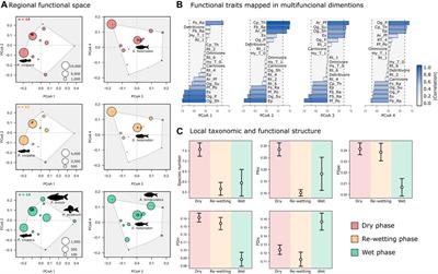 Effect of drying dynamics on the functional structure of a fish assemblage from an intermittent river network
